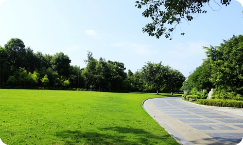 Solar in-ground light for lawn